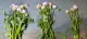 mecna-flowermatic-02.jpg mecna-flowermatic-02.jpg